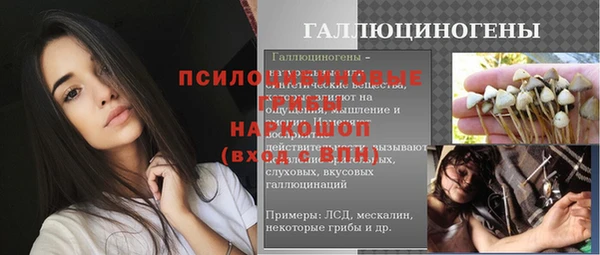 мяу мяу мука Арсеньев